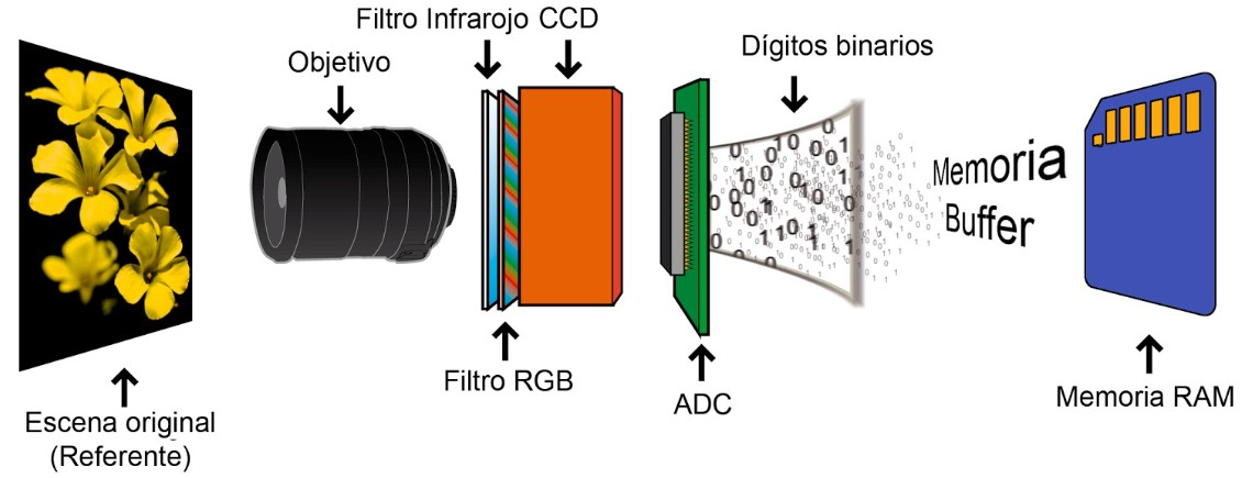 Esquema del proceso de captura de una imagen: escena, objetivo, filtro RGB, ADC y memoria