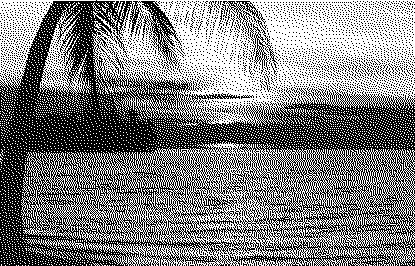 Imagen reducida a 1 bit: solo blanco y negro puros